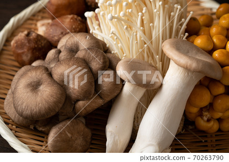 Various edible mushrooms 70263790