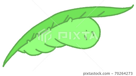 隱藏在葉子後面的毛毛蟲（綠色） 70264273