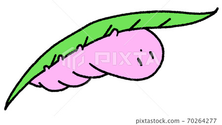 Caterpillar (pink) hidden behind the leaves Caterpillar (pink) hidden behind the leaves 70264277