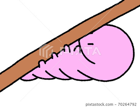Caterpillar (pink) that grabs a branch and prepares to become a pupa Caterpillar (pink) that grabs a branch and prepares to become a pupa 70264792