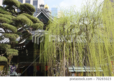 Rokkakudo Round-tied Hexagonal Willow Rokkakudo Round-tied Hexagonal Willow 70265023