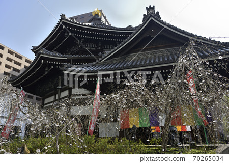 Rokkakudo Miyuki Sakura and Main Hall Rokkakudo Miyuki Sakura and Main Hall 70265034