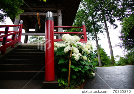 Bell tower Bell tower 70265870