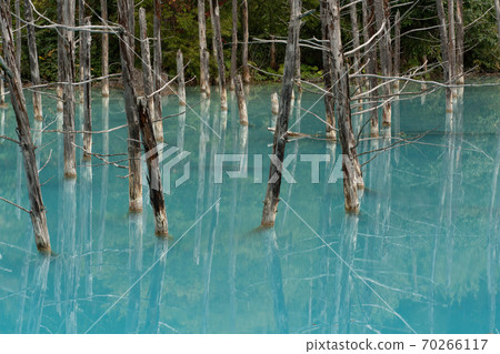 Blue pond Blue pond 70266117