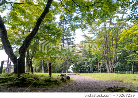 山景平台 山景平台 70267259