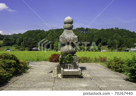 奈良縣明日香村Soga Iruka Shutsuka 奈良縣明日香村Soga Iruka Shutsuka 70267440