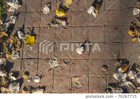 Stamped concrete pavement outdoor flooring decorative appearance of tiling, red tiles pattern Stamped concrete pavement outdoor flooring decorative appearance of tiling, red tiles pattern 70267715