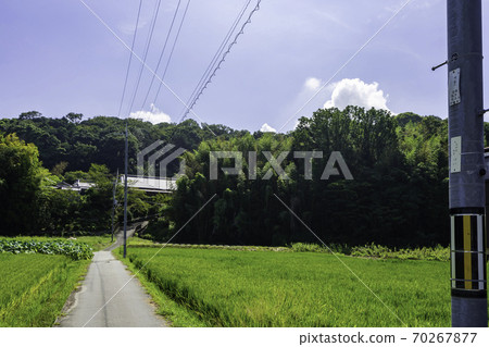 Mt. Amanoka, Kashihara City, Nara Prefecture 70267877