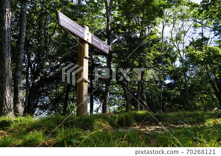 A lot of summit pillars 70268121