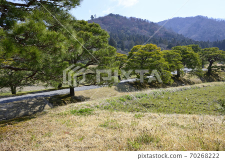 Shogakuin Nomiya pine tree and rural landscape Shogakuin Nomiya pine tree and rural landscape 70268222