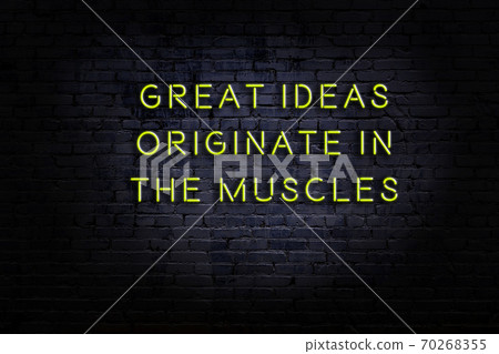 Wise quote. Neon inscription against brick wall 70268355
