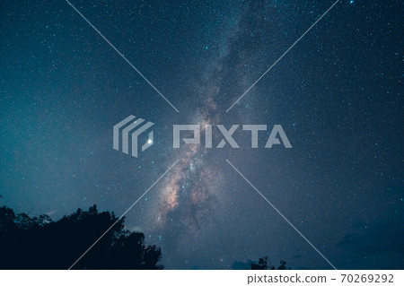 Milky way and night stars in the fields 70269292