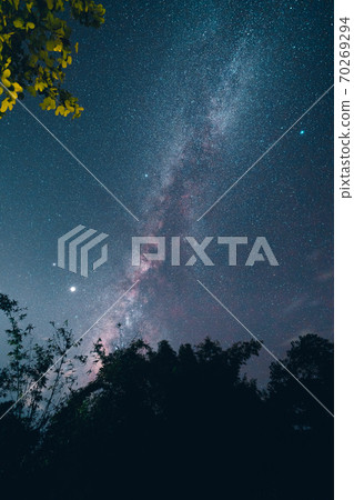 Milky way and night stars in the fields 70269294