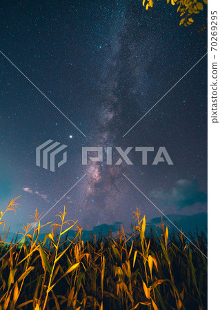 Milky way and night stars in the fields 70269295