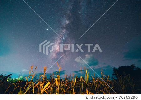 Milky way and night stars in the fields 70269296