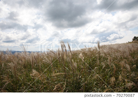 Ikkogen高原 70270087