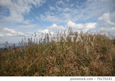 Ikkogen高原 70270281