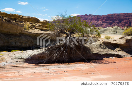 Mountainous landscape in Ischigualasto Provincial Park Mountainous landscape in Ischigualasto Provincial Park 70270878