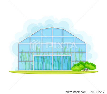 Germination Bed or Greenhouse with Crops or Vegetables Growing and Cultivation Vector Illustration 70271547