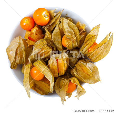 Physalis peruviana fruit closeup Physalis peruviana fruit closeup 70273356