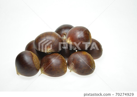 Many chestnuts Many chestnuts 70274929