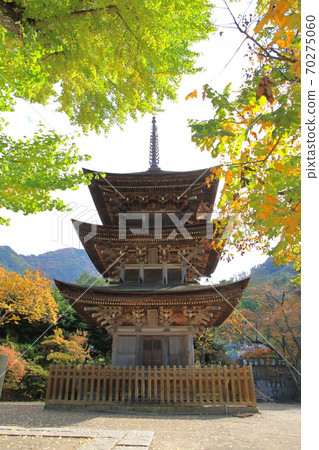 鎌倉國家重要文化財產在Shinshou Maezanji三塔 鎌倉國家重要文化財產在Shinshou Maezanji三塔 70275060