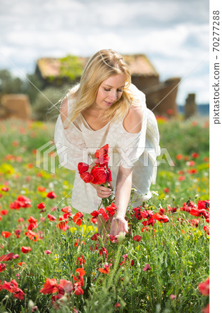Beautiful young female in white dress holding bouquet of poppy flowers 70277288