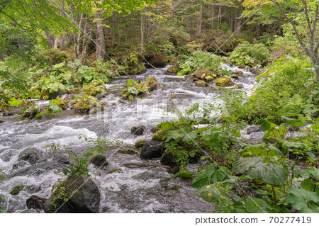 山間溪流 山間溪流 70277419
