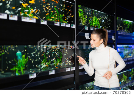 Brunette choosing aquarium fish in pet store Brunette choosing aquarium fish in pet store 70278565