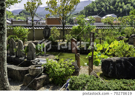 Asuka Temple Manyo Pond Asuka Village, Nara Prefecture Asuka Temple Manyo Pond Asuka Village, Nara Prefecture 70278619