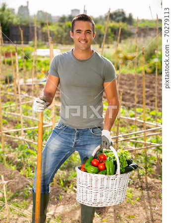 Man professional gardner holding basket with harvest of vegetables 70279113