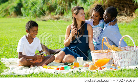 Boy playing on smartphone during family picnic 70279169