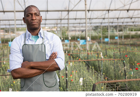 Portrait of african-american florist in orangery 70280919