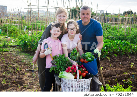Family posing in garden with picked vegetables 70281044