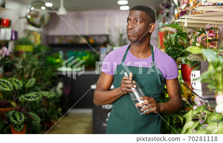 Owner of flower shop spraying potted flowers Owner of flower shop spraying potted flowers 70281118