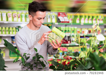 Focused man reading product label while choosing fertilizers at gardening store Focused man reading product label while choosing fertilizers at gardening store 70281948