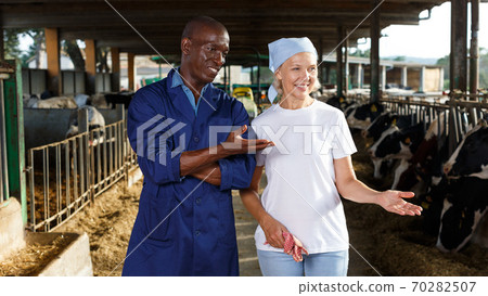 Man and woman working on dairy farm 70282507