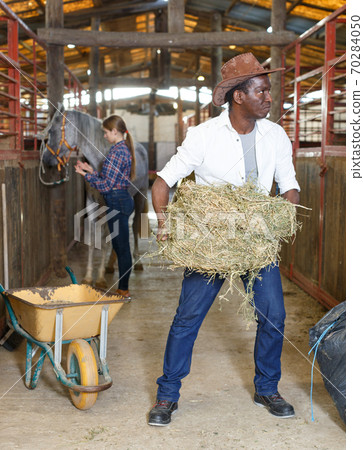 Couple of farmers working at stable Couple of farmers working at stable 70284050