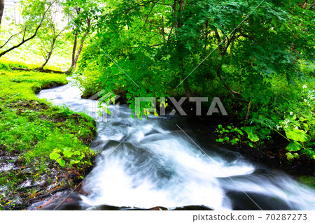 A winding stream flowing through the green A winding stream flowing through the green 70287273