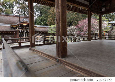 Umenomiya Taisha Shrine, main shrine and worship hall in full bloom red and white plum blossoms Umenomiya Taisha Shrine, main shrine and worship hall in full bloom red and white plum blossoms 70287462