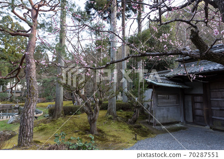 京都著名的梅花勝地“ Shozan Resort”日本庭園，大門和紅梅 70287551