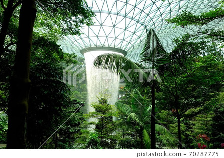 Singapore Airport JEWEL A glimpse of subtropical plants Otaki Rain Vortex 70287775