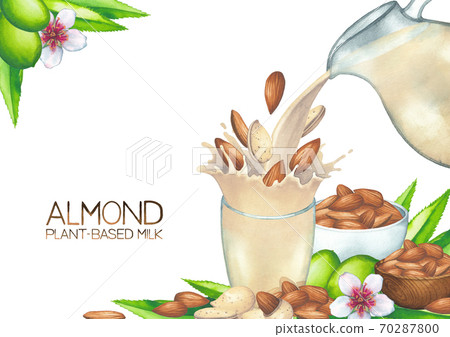 Watercolor plant based milk pouring from the glass jug into the cup with a splash of almonds. Watercolor plant based milk pouring from the glass jug into the cup with a splash of almonds. 70287800