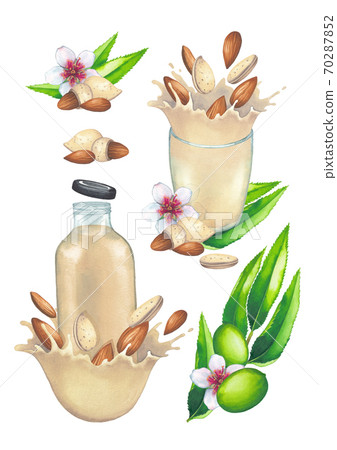 Watercolor collection of plant based milk in the glass and bottle decorated with bowls, almond nuts and plants Watercolor collection of plant based milk in the glass and bottle decorated with bowls, almond nuts and plants 70287852