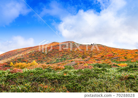 栗駒山全山紅葉神的地毯和山間小徑天馬嶺路線染成紅色 70288028