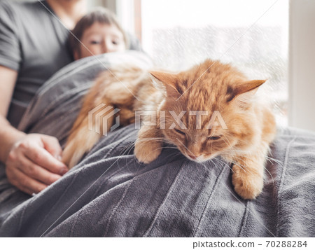 Father, son and they's cute ginger cat sit on window sill. Family relax under blanket. Man, toddler boy and fluffy pet at cozy home while snow is falling outside. Father, son and they's cute ginger cat sit on window sill. Family relax under blanket. Man, toddler boy and fluffy pet at cozy home while snow is falling outside. 70288284