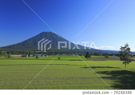 Patchwork of fields in Kutchan, Hokkaido and Mt. Yotei Patchwork of fields in Kutchan, Hokkaido and Mt. Yotei 70288386