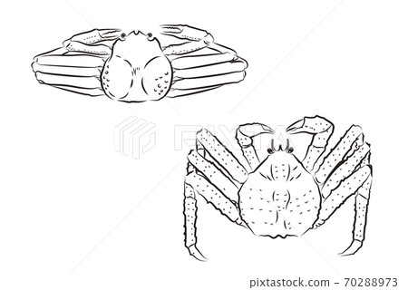 葵蟹和塔拉巴蟹的毛筆寫作風格插圖 葵蟹和塔拉巴蟹的毛筆寫作風格插圖 70288973