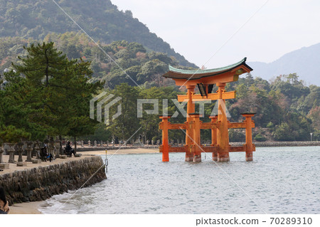 Hiroshima Prefecture Autumn Aki no Miyajima Itsukushima Shrine Hiroshima Prefecture Autumn Aki no Miyajima Itsukushima Shrine 70289310