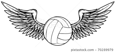 Realistic Volley Ball With Raised Up Red Wings Stock Illustration 70289979 Pixta